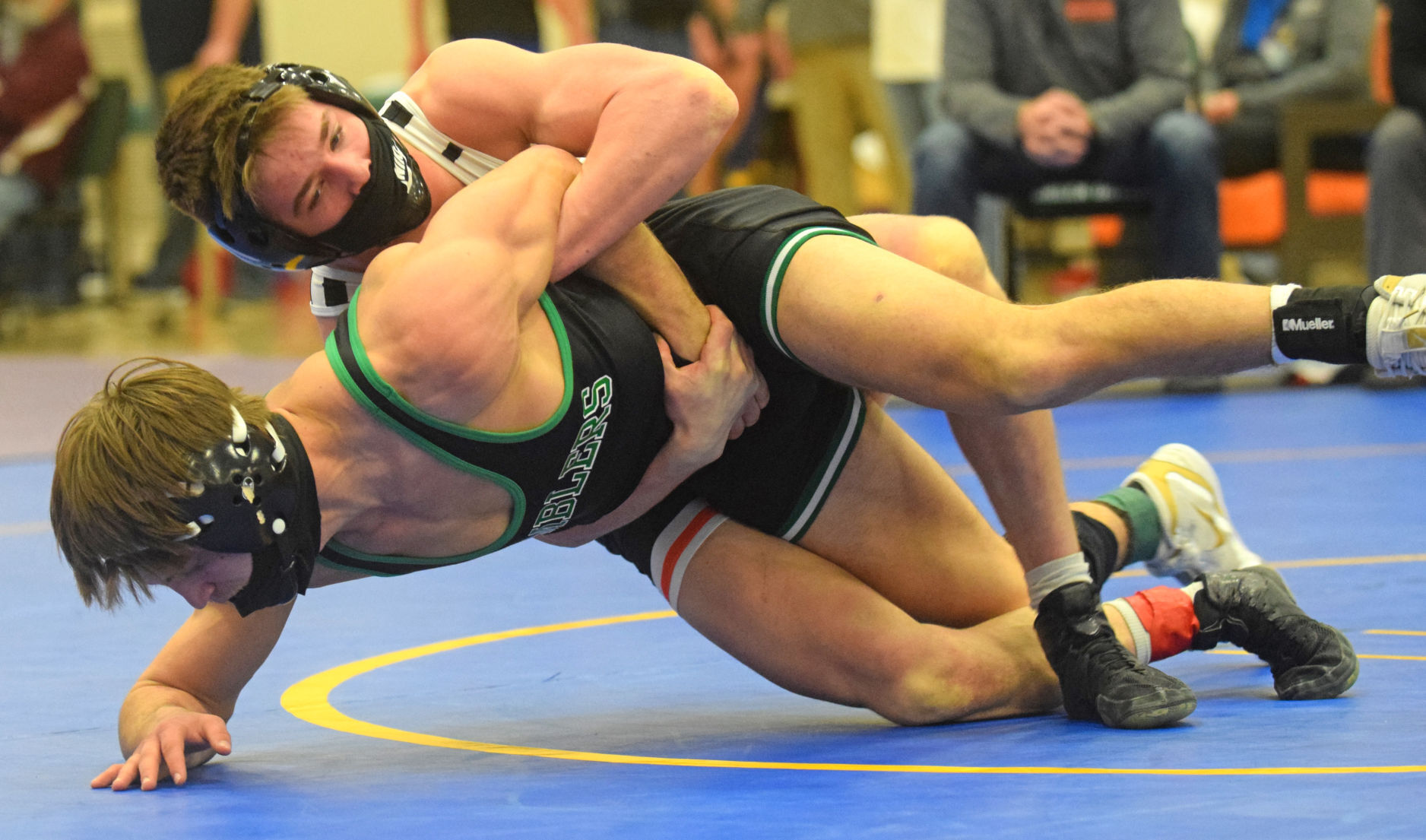 Cale Anderson D2